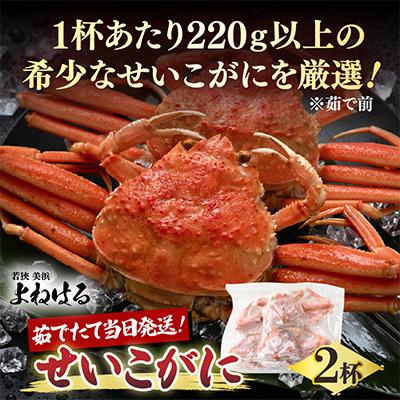 ふるさと納税 美浜町 【2026年11月より順次発送】1杯220g以上の希少価値のあるセイコガニ2杯を茹でたその日に発送!