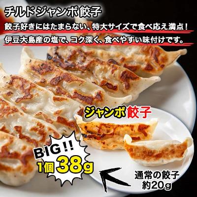 ふるさと納税 南魚沼市 新潟県 南魚沼市 チルドジャンボ餃子 6個入り × 6パック 計36個 ケンちゃん餃子 |  | 01