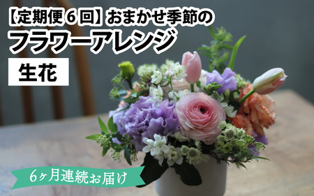 【定期便６回】おまかせ季節のフラワーアレンジ（生花）×６ヶ月  お好み、着日指定可能