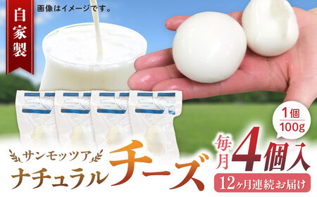 【全12回定期便】自家製 ナチュラルチーズ サンモッツア 4個 ( 100g × 4個 ) / チーズ モッツァレラチーズ  乳製品 熊本 山都町【山の未来舎】[YBV024]