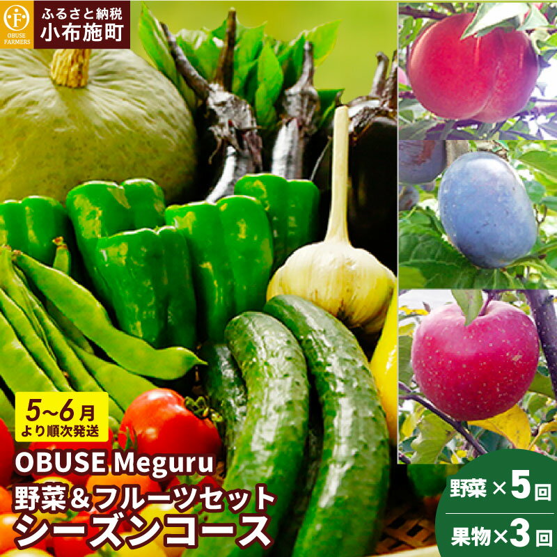 【ふるさと納税】［年8回定期便］ 農薬・化学肥料を使わずに栽培した野菜と減農薬栽培した果物 年8回定期便 OBUSE Meguru 野菜&フルーツセット シーズンコース［おぶせファーマーズ］おまかせ 野菜 やさい 詰め合わせ 8～12種類 果物 フルーツ 長野 信州 数量限定