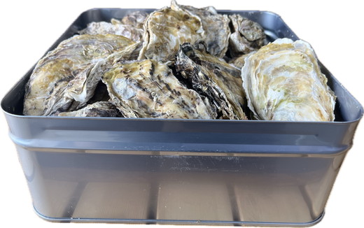 能登かき　殻付き小缶(加熱用) ※北海道・沖縄・離島への配送不可 ※2026年1月中旬～2月中旬頃に順次発送予定