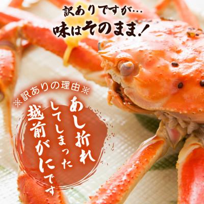 ふるさと納税 越前町 地元鮮魚店厳選 【訳あり】 ≪浜茹で≫ 足折れ 越前がに 中サイズ 1杯【3月発送分】 |  | 01