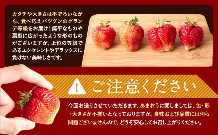 あまおう いちご 1500g【配送不可地域：離島】