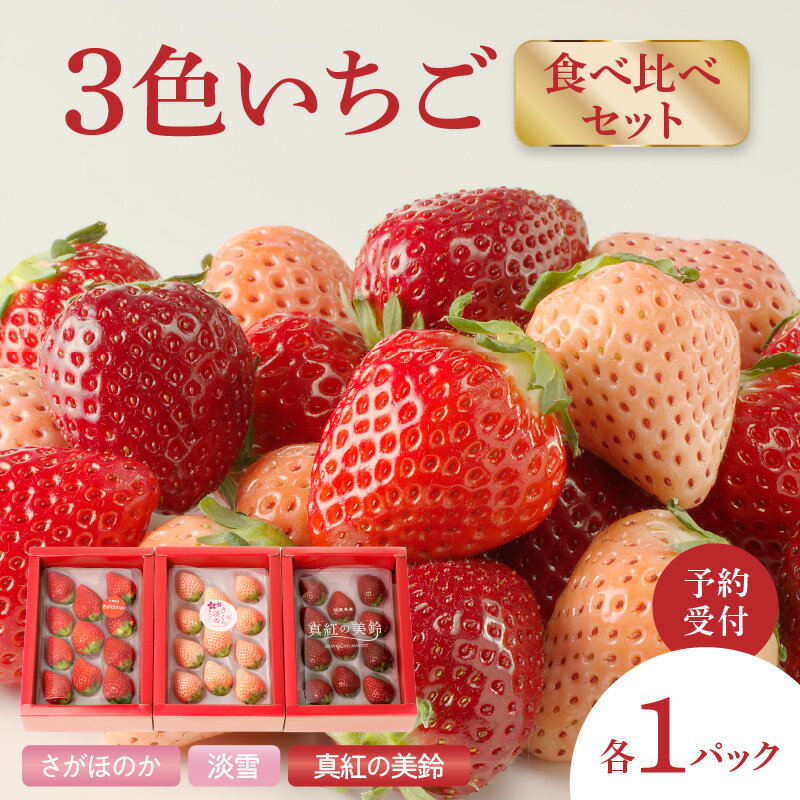 【ふるさと納税】【1月〜5月 順次配送】3色いちご食べ比べセット「さがほのか」「淡雪（白いちご）」「真紅の美鈴（黒いちご）」／送料無料 いちご さがほのか 白いちご 淡雪 あわゆき 黒いちご 真紅の美鈴 希少 果物 くだもの フルーツ デザート 食べ比べ 予約受付
