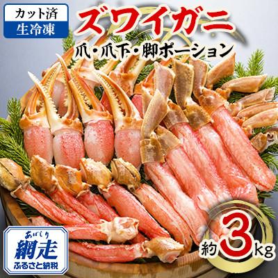 ふるさと納税 網走市 【2025年9月下旬発送】生冷凍 カット済 ズワイ 爪・爪下・脚 約3kg | 