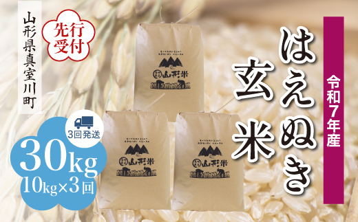 
            ＜令和7年産米先行受付＞ 真室川町産 はえぬき 【玄米】 30kg定期便 （10kg×3回発送）＜配送時期指定可＞
          