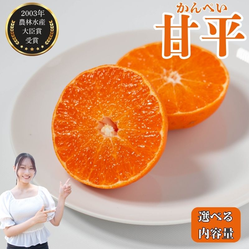 【ふるさと納税】 先行予約受付 数量限定 訳あり 甘平 1.5kg / 贈答用750g みかん 蜜柑 柑橘 果物 フルーツ 高級 人気 糖度 ビタミン 健康 ブランド 国産 減農薬 除草剤不使用 有機肥料使用 愛媛県 愛南町 吉本農園 発送:2026年2月頃〜なくなり次第終了