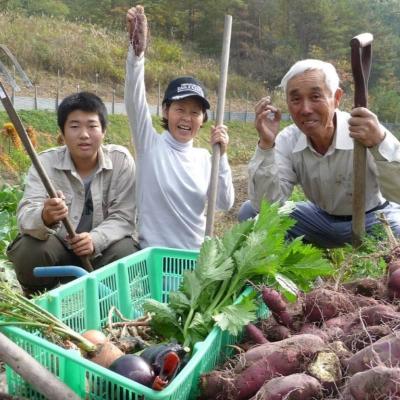 ふるさと納税 安芸高田市 旬の野菜【M】セット[No5895-0459] |  | 02