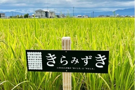 【令和8年】先行予約　近江米『きらみずき』　化学肥料不使用米　10キロ（鮮度保持袋）