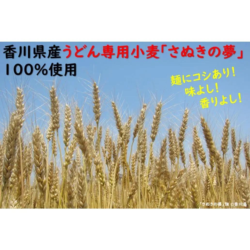 麺棒/ 讃岐うどん 半生 20食セット_Z2600053