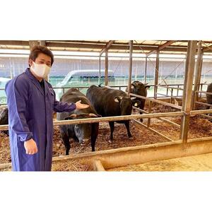 近江牛 澤井牧場 焼肉盛り合わせ（霜降） 600ｇ