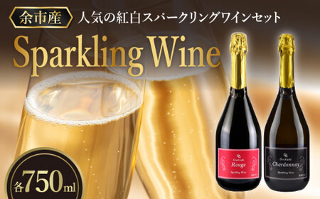 【OcciGabi Winery】人気の紅白スパークリング・ワイン・セット　特別なおもてなしに スパークリング ワイン 紅白セット 750ml ×各1本 【余市のワイン】オチガビワイナリー 北海道 余