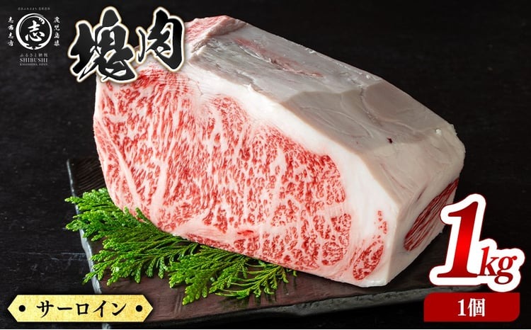 塊肉シリーズ サーロイン 計1kg(1kg×1個) wa42-001