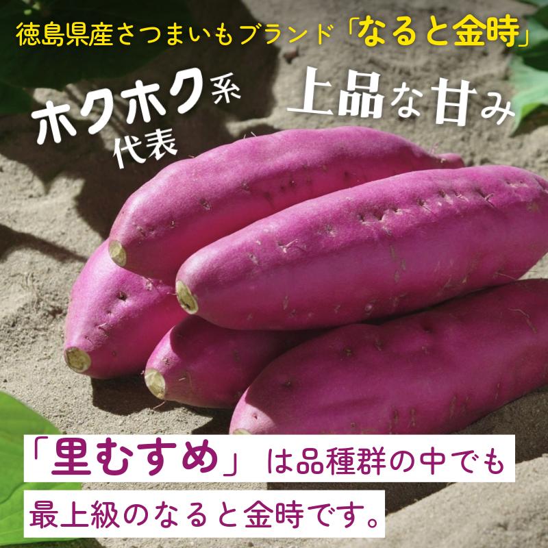 さつまいも 鳴門金時 5kg 2025年12月発送 なると金時 Mサイズ 里むすめ 芋 野菜 スイーツ スイート チップス 棒 箱 詰め 紅 甘い お菓子 金時 大学 種類 生 調理 干し芋 焼き芋 