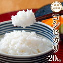 【ふるさと納税】令和5年産 令和6年産 飛騨の蔵出し コシヒカリ 選べる 10kg 20kg 10キロ 20キロ こしひかり 米 お米 精米 白米 精白米[Q2227]