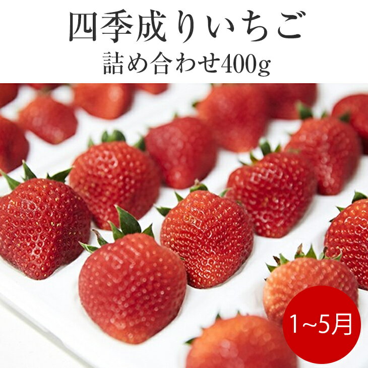 【ふるさと納税】四季成り いちご 2種 食べ比べ 400g ( 200g × 2パック ) 品種 おまかせ 〈 なつあかり 信大BS8-9 夏の輝 夏のしずく すずあかね 〉【 詰め合わせ イチゴ 苺 ストロベリー フルーツ 岩手 陸前高田 リアスターファーム 】2025年1月から順次配送