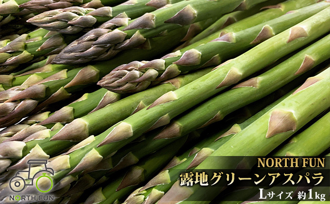 【2026年5月中旬～発送】北海道 富良野産 露地 グリーン アスパラ Lサイズ 約1kg (NORTH FUN) 野菜 新鮮 直送 朝採り アスパラガス 道産 北海道 ふらの