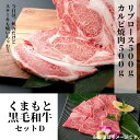 【ふるさと納税】熊本県産黒毛和牛セットD　リブロース500g＋カルビ焼肉500g