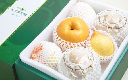 あたご梨 2～3玉 ・ 鴨梨 （ヤーリー） 3～7玉 詰合せ 合計約4.5kg 贈答箱 ／ 愛宕梨 梨 なし ナシ 果物  【2026年11月下旬～12月下旬発送予定】
