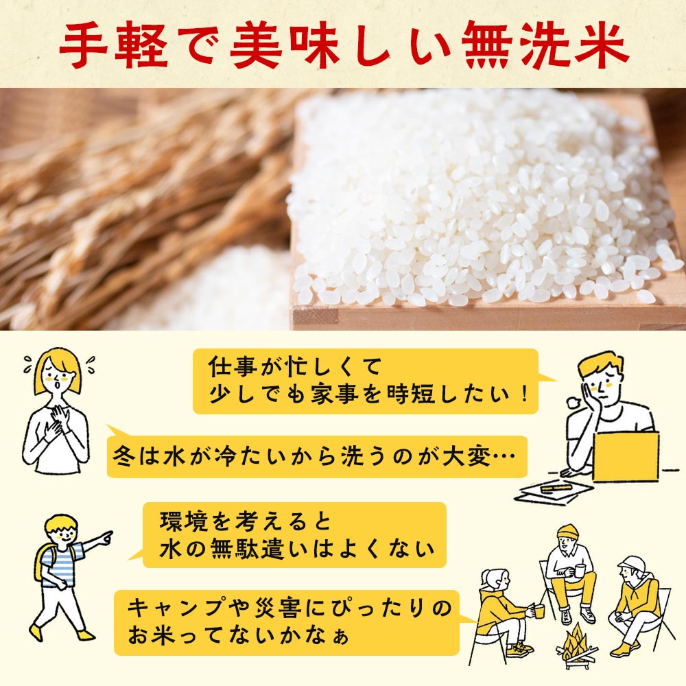 無洗米 6kg（2kg×3袋）12カ月 定期便 真空パック 京都丹波産 キヌヒカリ［令和7年産米］ ※受注精米 《米 白米 きぬひかり 2キロ 6キロ 小分け 無洗米 大嘗祭供納品種 亀岡そだち》 ※