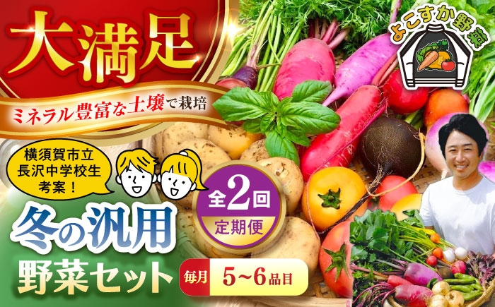 
                  【先行予約】【全2回定期便】冬の汎用野菜セット（5～6品目）冬（12月～1月）冬野菜 やさい 野菜 野菜セット 野菜定期便 定期 定期便 【鈴也ファーム】 [AKCE027]
                