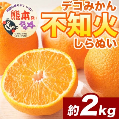 不知火 デコみかん (デコポンと同品種)5～9玉 約2kg(宇城市)【1638953】