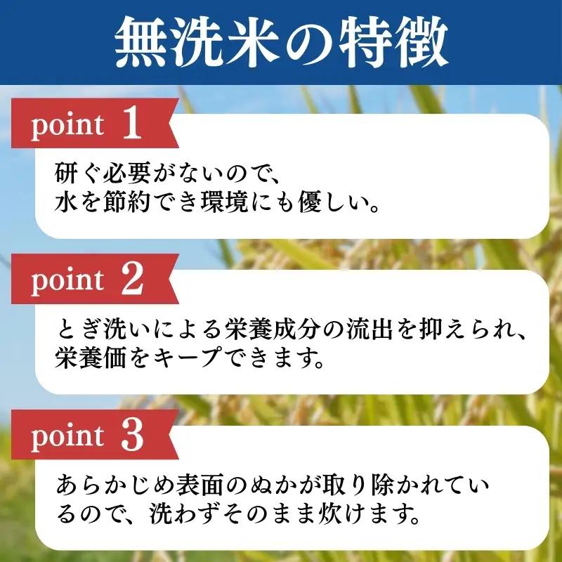【定期便6か月】食味鑑定士厳選 コシヒカリ 無洗米 コシヒカリ 20kg