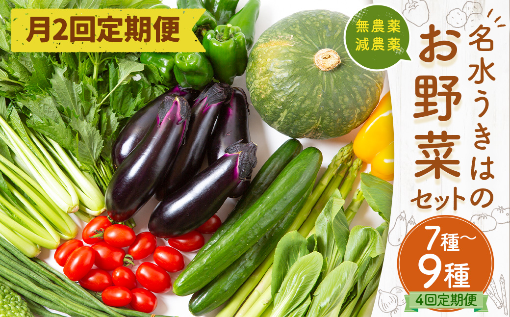 【月2回定期便】UIC 名水うきはのお野菜セット (ひと月2回×2か月=計4回)