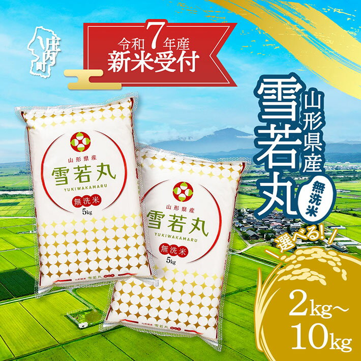 【ふるさと納税】【新米受付 10月発送】R7年産 雪若丸 無洗米 選べる内容量！ 2kg/5kg/10kg（入金期限：2025.9.15）新米 新米予約 先行受付 令和7年産米 米 ふるさと納税 山形県