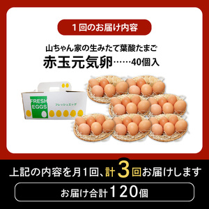 【3ヶ月定期便】【山ちゃん家の生みたて葉酸たまご】赤玉元気卵（40個入り）[132Y07-T]