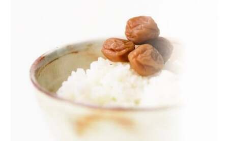 甲州小梅ぼし 昆布漬 計1kg（500g×2）ALPCG001