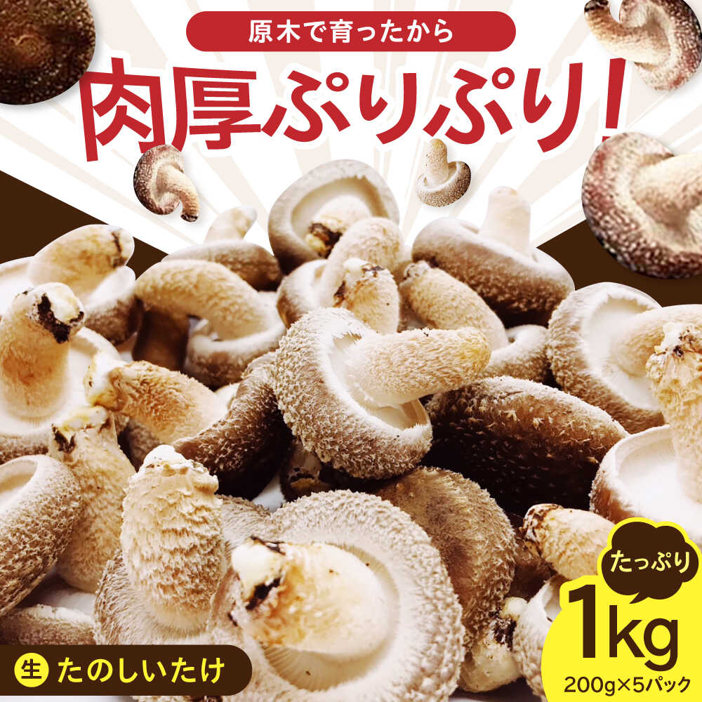 【ふるさと納税】【北海道】原木 生しいたけ 1kg（200g×5パック）《厚真町》【株式会社きたい】 生 しいたけ 椎茸 きのこ キノコ 小分け 北海道 [AXAI001]
