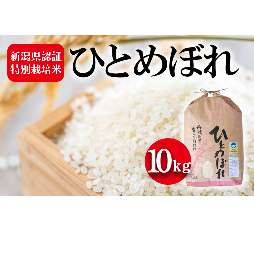 新潟県認証特別栽培米 ひとめぼれ10kg お米 白米 ライス 精米 ご飯 新潟県産 おにぎり お弁当 和食 ブランド米 粘り 甘み 旨み 