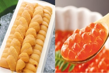 エゾバフンウニ140g×1折、いくら醤油漬(鱒卵)150g×1P[11月下旬以降発送] D-53027