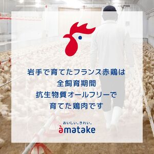【定期便/3ヶ月】 ソーセージリンクス 5本入 ( 100g ) × 8p 国産 鶏 肉 鶏肉 鴨 カモ ソーセージ 岩手県産 アマタケ ブランド 赤鶏  朝食 モーニング 簡単調理 レンジ  惣菜 