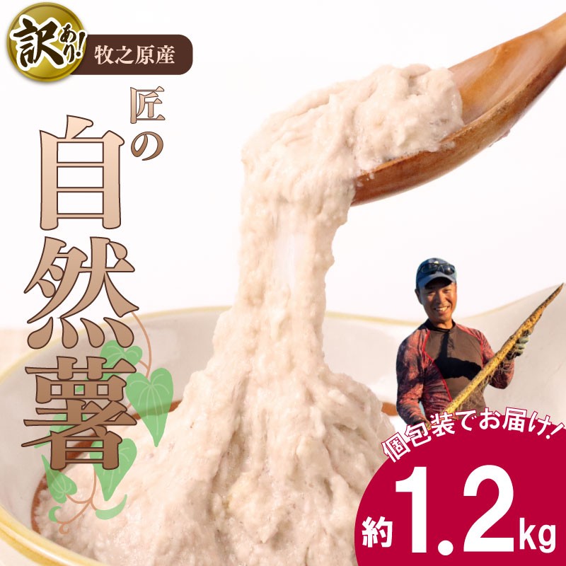 
                  【自然薯 訳あり】 約 1.2kg 訳アリ じねんじょ ひげ根 処理済み 洗ってすぐに食べられる！ 山芋 ヤマイモ 山いも とろろ とろろ汁 国産 滋養強壮 とろろご飯 ご飯のお供 栄養 美味しい おいしい 自宅用 家庭用 贈答用 プレゼント おすすめ 小分け 個包装 食べきり 産地直送 農家直送 直送 静岡県産 牧之原産 お土産 とろろごはん やまいも 野菜 芋 たくみファーム 静岡県 牧之原市
                
