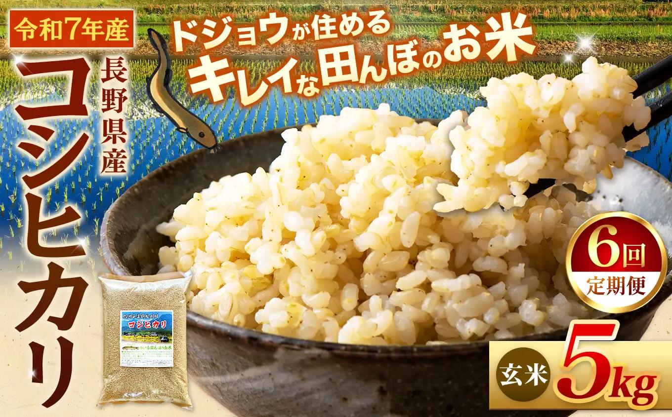 【定期便6回】『どじょうのいる田んぼのお米』コシヒカリ 玄米 5kg | 馬場農園