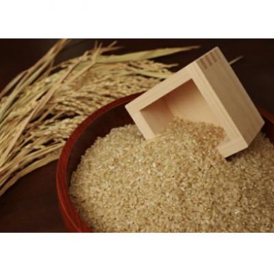 ふるさと納税 西脇市 【毎月定期便】兵庫県産 コシヒカリ(玄米) 20kg(10kg×2)全3回 |  | 01