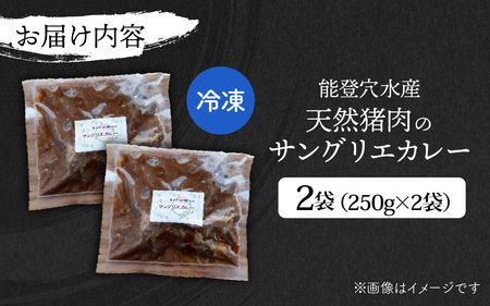 【能登・穴水産】天然 猪肉のサングリエカレー 2袋セット（計500g） | ジビエ 猪肉 レトルト