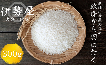 【10月下旬頃より順次発送】【伊勢屋オリジナル】【令和7年産　新米】【お試しパック　精白米　2合入】【玖珠から羽ばたく】玖珠の老舗お米屋がお届け! 