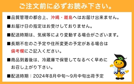 P172 山下フルーツ シャインマスカットとBKシードレスの詰め合わせ 3〜5房  8月中旬〜9月中旬お届け