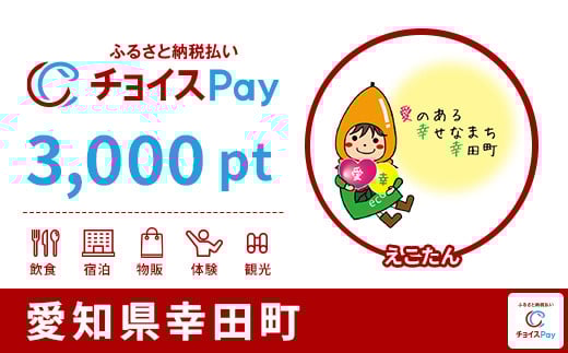 
            幸田町チョイスPay 3,000pt【会員限定のお礼の品】
          
