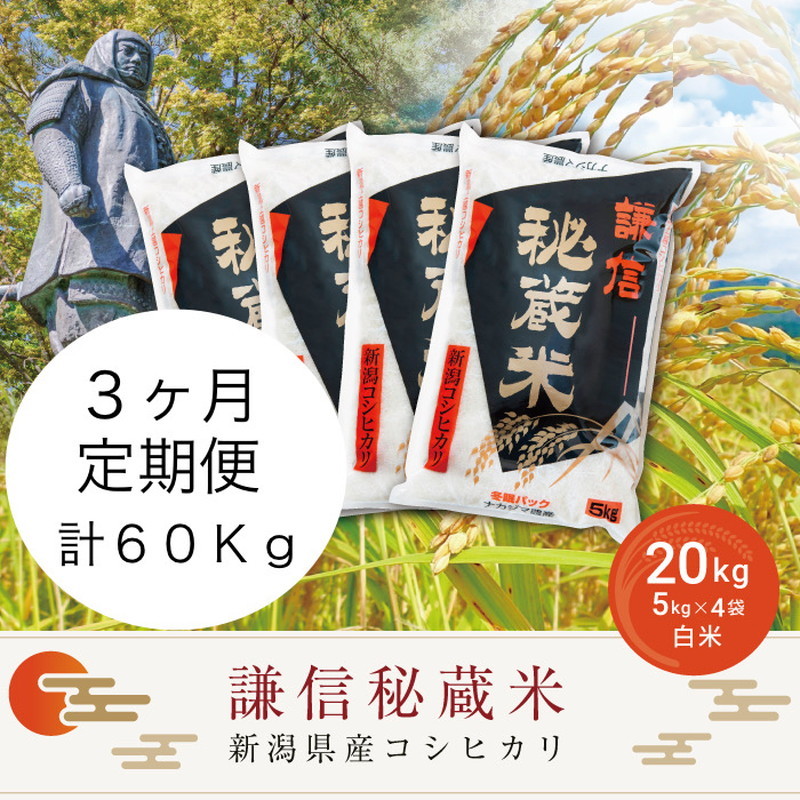 令和7年産 定期便3ヶ月連続発送（20kg×3回分）20kg 米 新潟県産 コシヒカリ  精白米 謙信秘蔵米  お米  こめ コメ おこめ おすすめ こしひかり 新潟 にいがた 新潟米 上越 上越産 上越米 ふるさと納税 定期便 人気