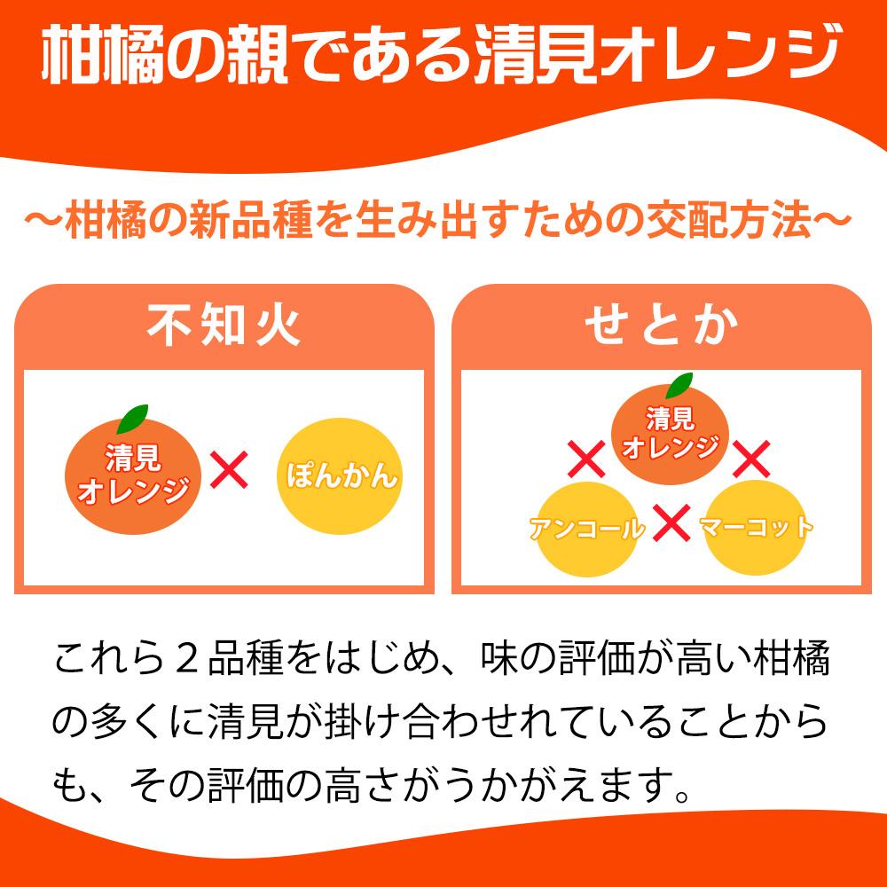 【ご家庭用訳アリ】紀州有田産清見オレンジ　7.5kg【2025年3月下旬以降発送】【先行予約】【UT54】AN014_イメージ2