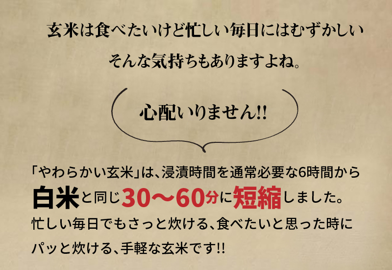 やわらかい玄米 新潟県産コシヒカリ 900g×4袋　※定期便6回　小分け 米 こめ コメ ごはん 栄養豊富 簡単 便利 美容 健康 新食感 もちもち 安心安全なヤマトライス　H074-685