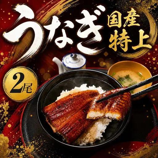 【ふるなび限定】鰻 蒲焼き 2尾 国産生鰻 BSEE003 FN-Limited-SP
