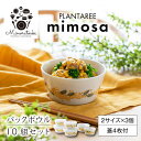 【ふるさと納税】【美濃焼】PLANTAREE-mimosa- パックボウル 10組セット（2サイズ×3個 蓋4枚付）【みのる陶器】小鉢 鉢 ボウル[MBF030]