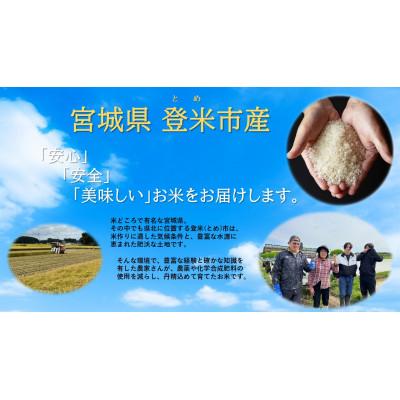 ふるさと納税 登米市 【精米】令和7年宮城県登米市産「ひとめぼれ」5kg×2袋 合計10kgセット |  | 02