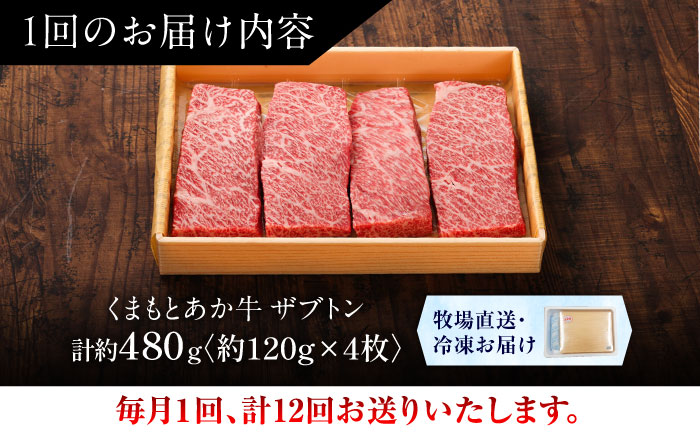 【全12回定期便】【GI認証】くまもとあか牛ザブトン 約120g×4枚 / 菊陽町 あかうし 熊本県 肉 にく niku ブランド 旨み 【有限会社 三協畜産】 [BHAS071]